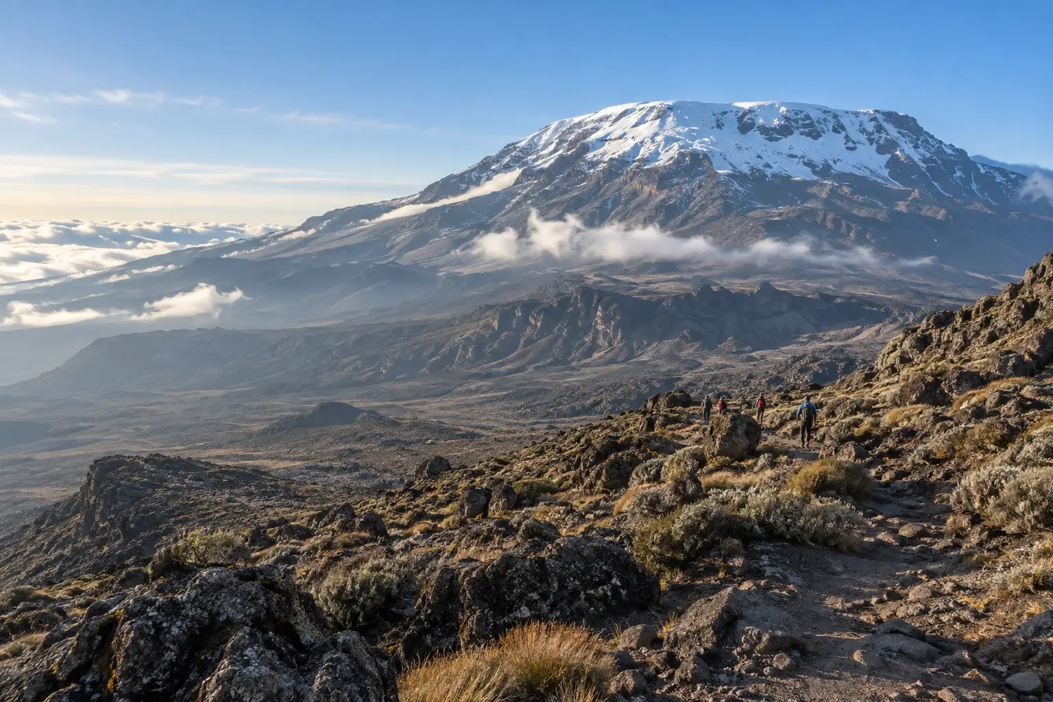Kilimanjaro