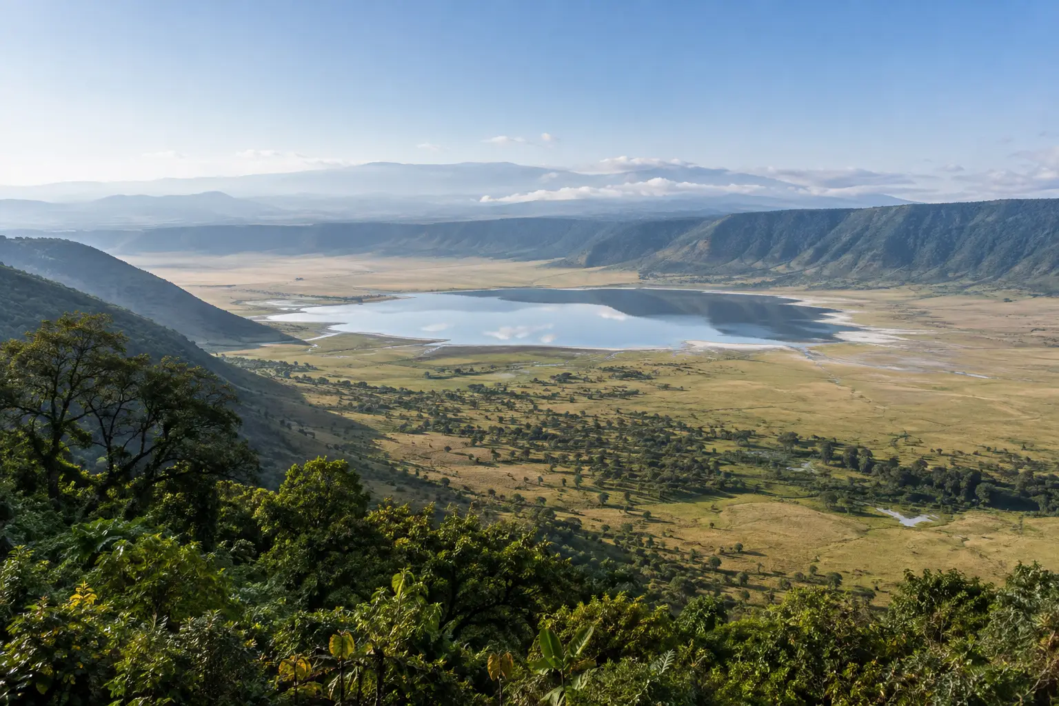 Ngorongoro