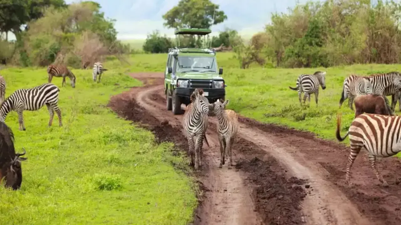 Private overnight Safari to Amboseli from Nairobi
