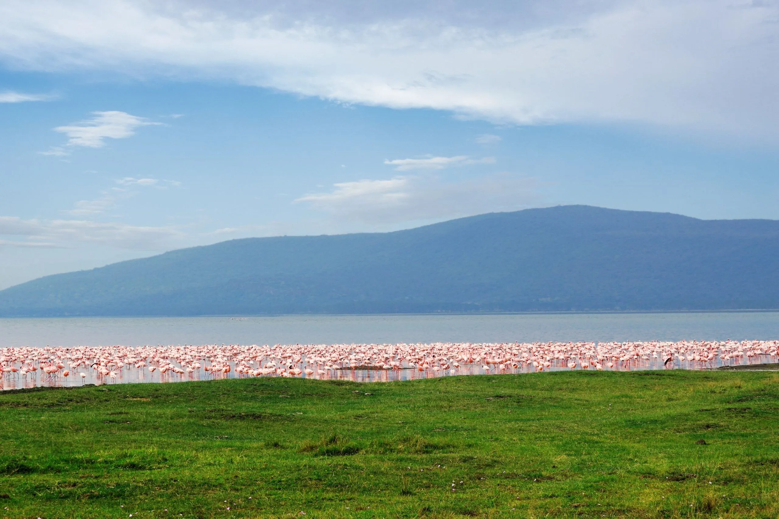 3 Days Lake Nakuru National Park and Crescent Island