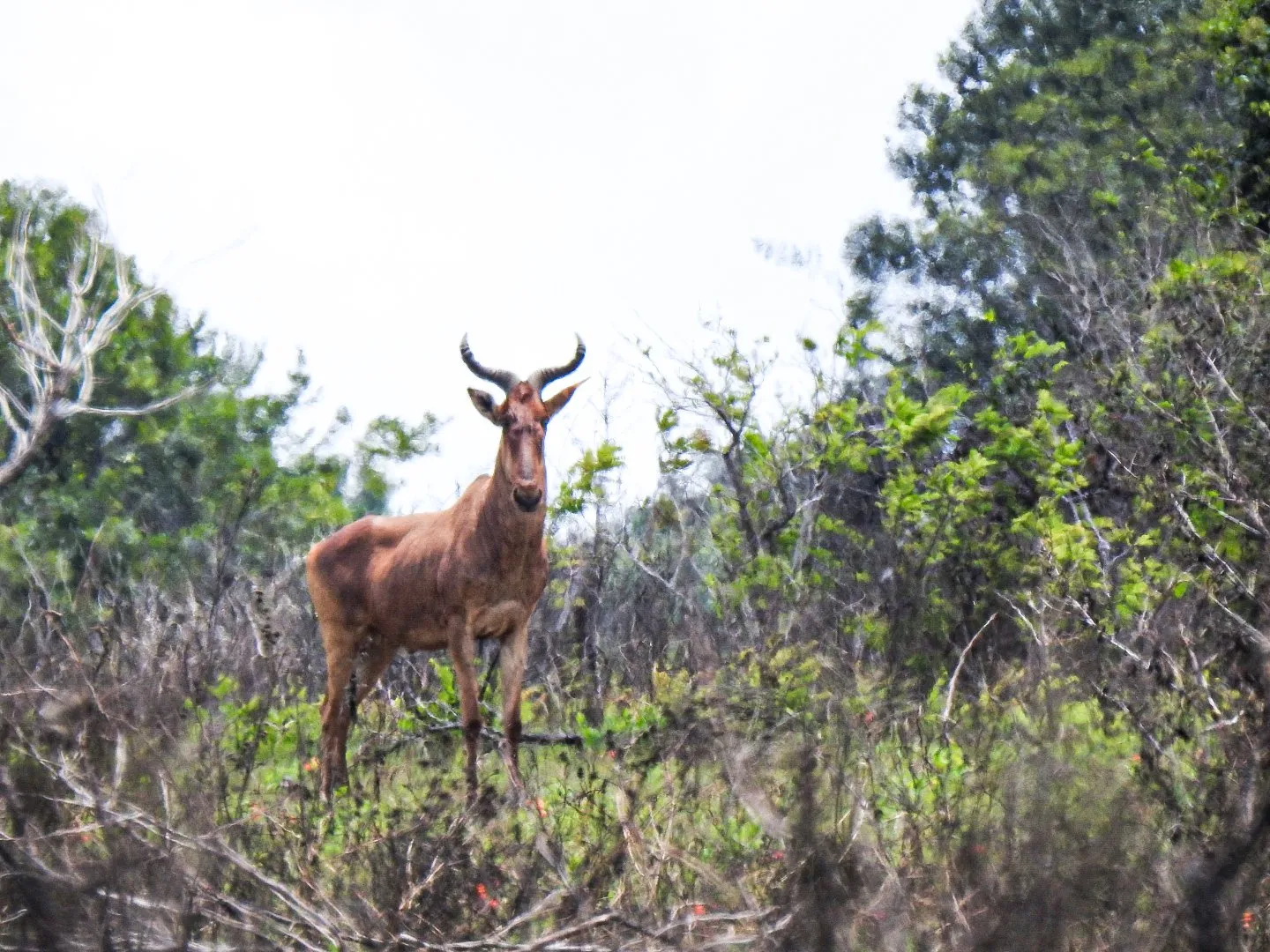 Shimba Hills Nature Escape