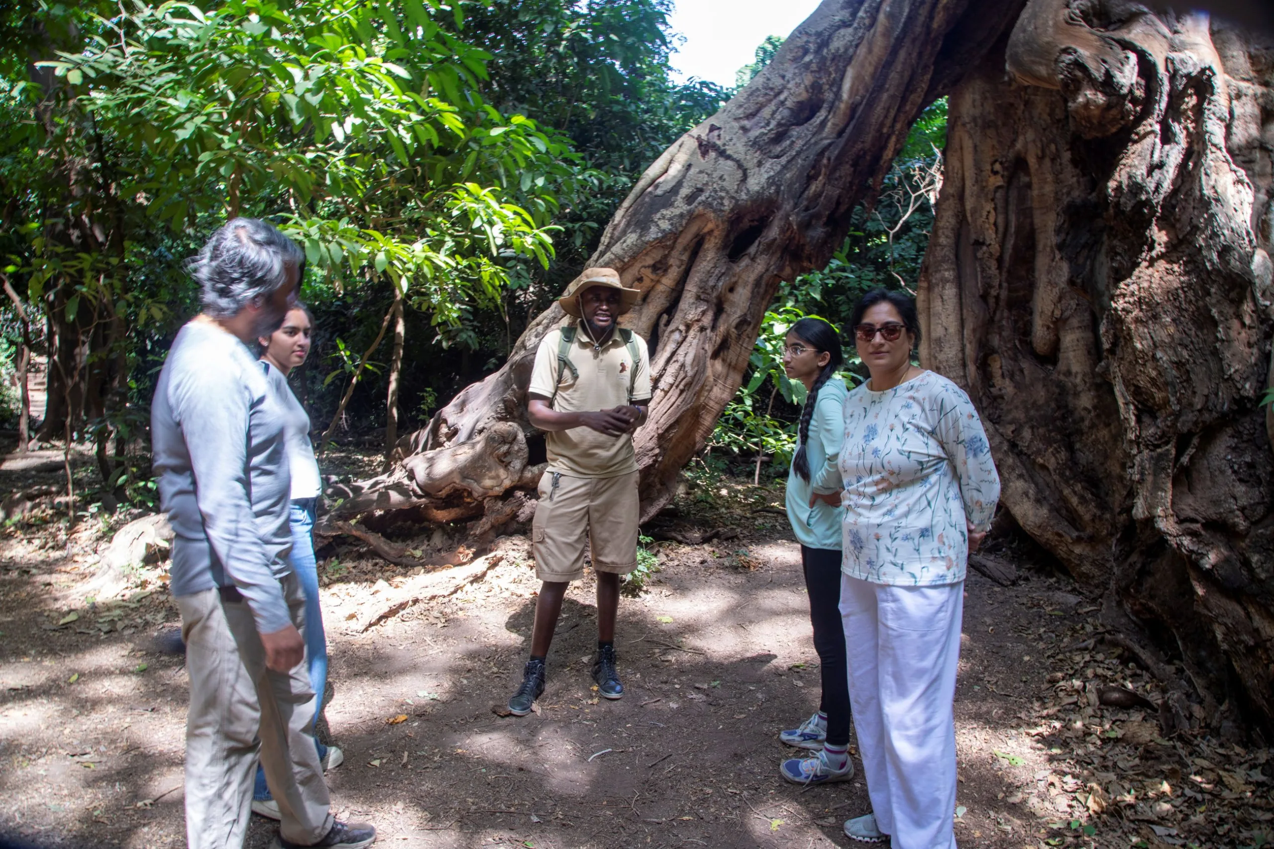 4-Day Tanzania Wildlife Adventure Safari