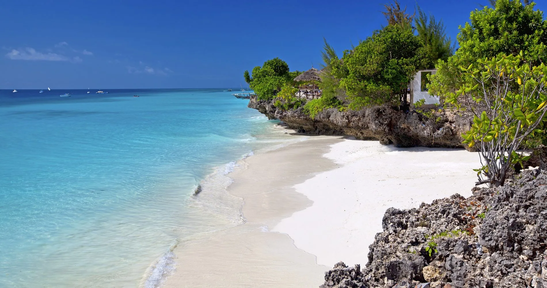 4 Day Luxury Fly-In Safari from Zanzibar to Serengeti