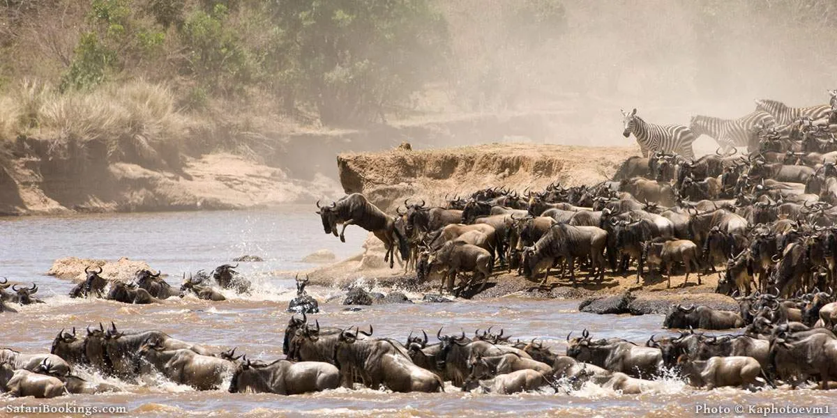 Tanzania