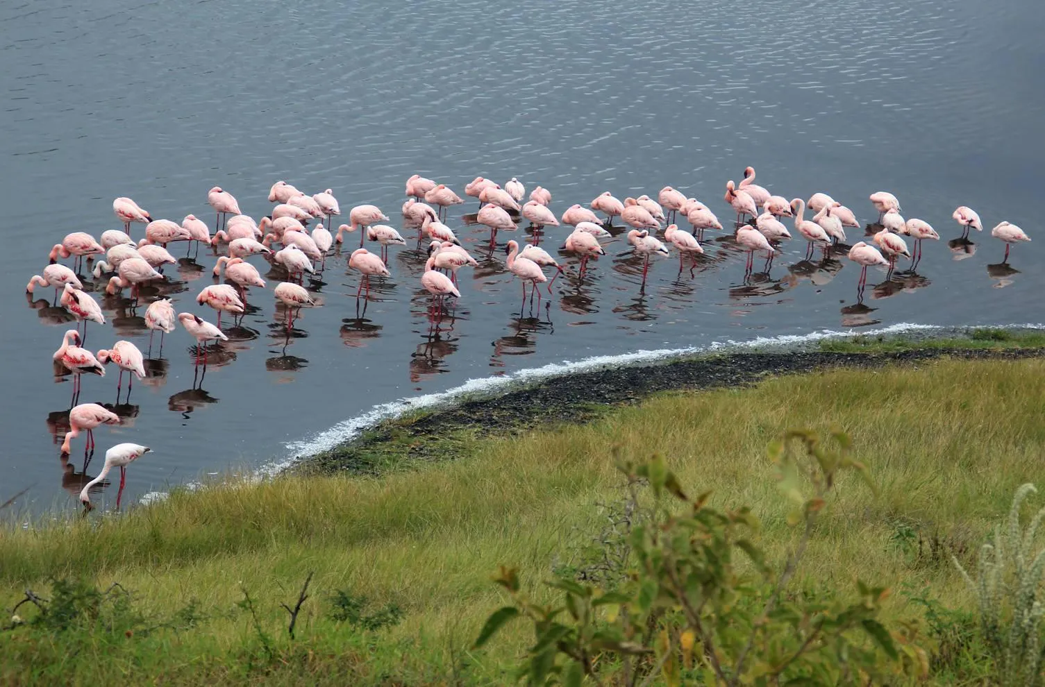 Arusha National Park — A Little Gem Of Northern Tanzania