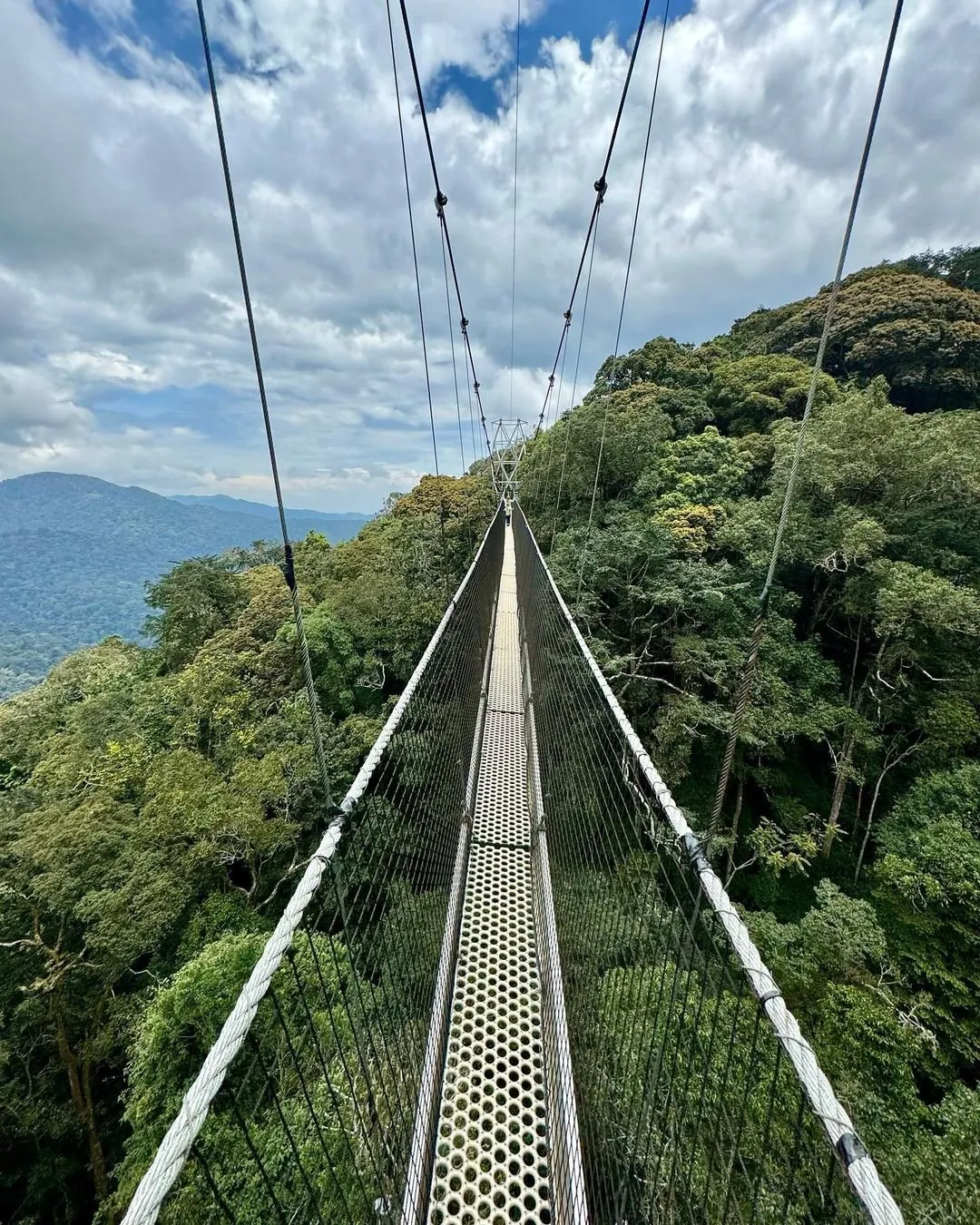 7-Day Rwanda Luxury Safari