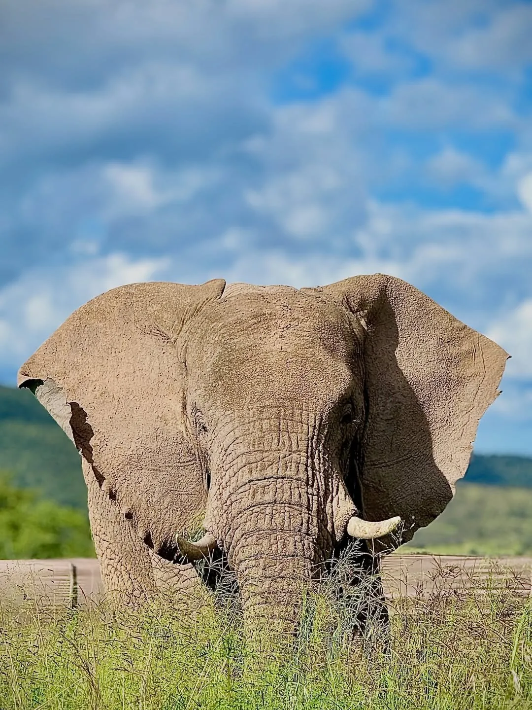 8-Day Rwanda Magical Adventure Safari