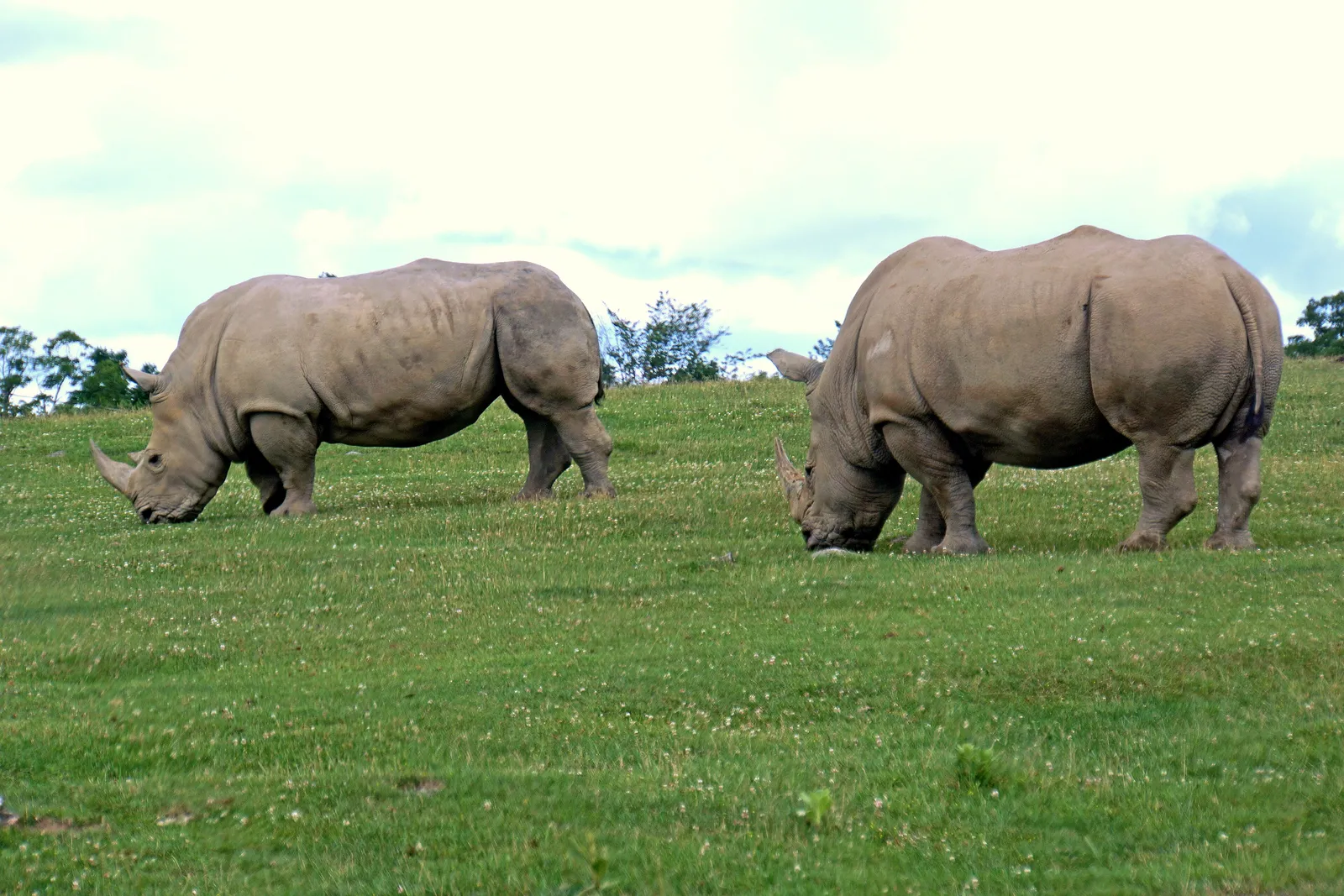 2-Day Akagera Wildlife Safari - Big Five Safari Tour