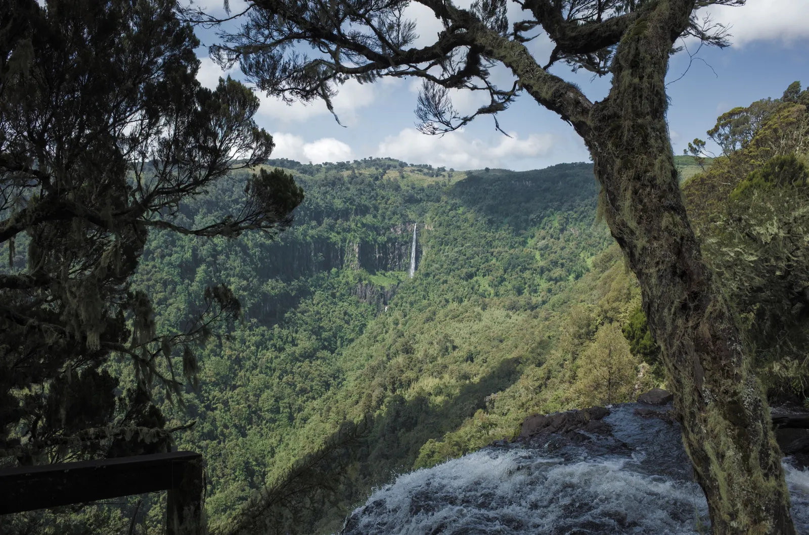 2-Day Chania Falls & Aberdare Forest Escape