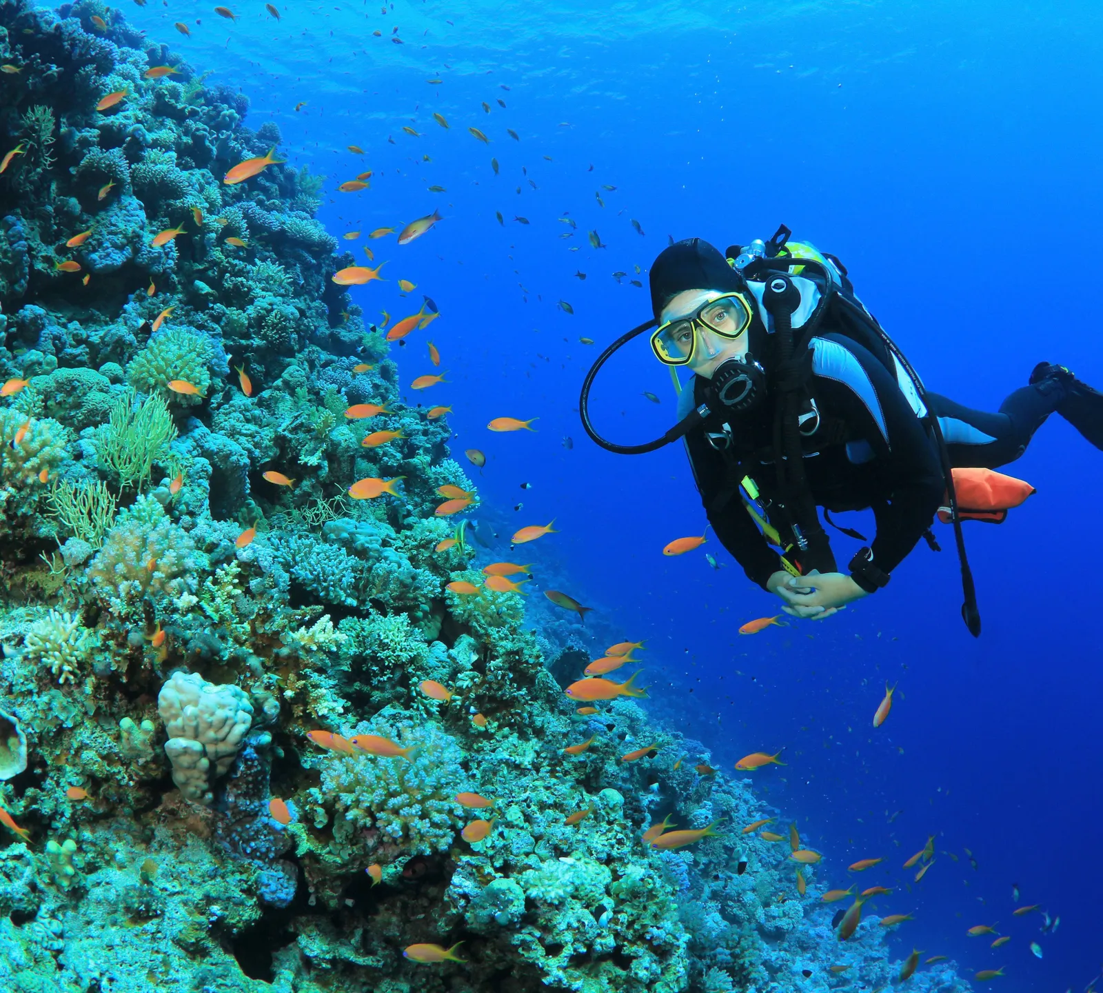 3-Day Malindi Scuba Diving Adventure