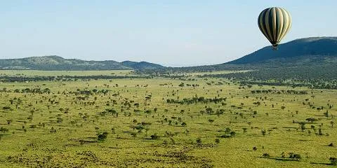 6-Day Great Wildebeest Migration Safari