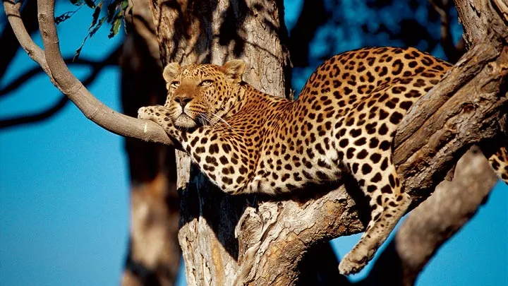 11-Day Rift Valley Trek & Serengeti Trails