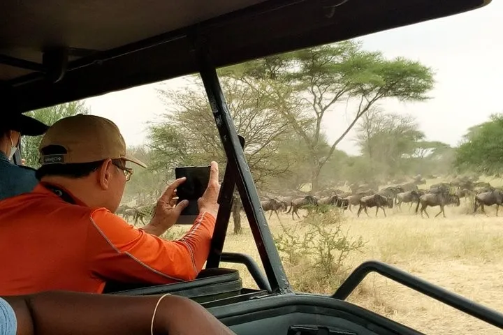 4-Day Fly-in Zanzibar -Serengeti, Ngorongoro & Tarangire