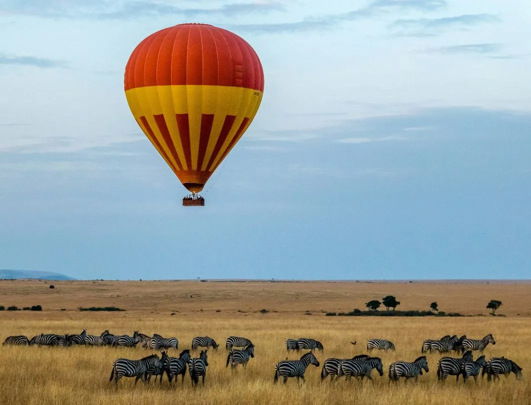 4 Days Masai Mara Safari by Flight
