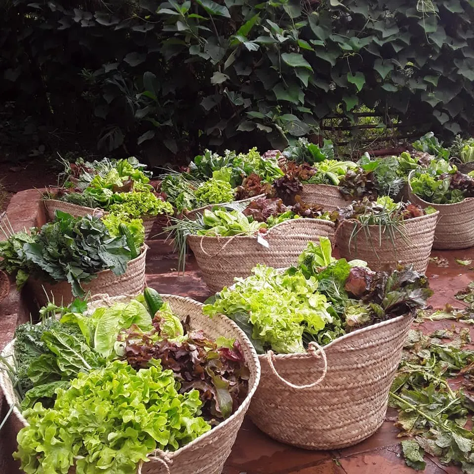 Farm-to-Table Cooking Class