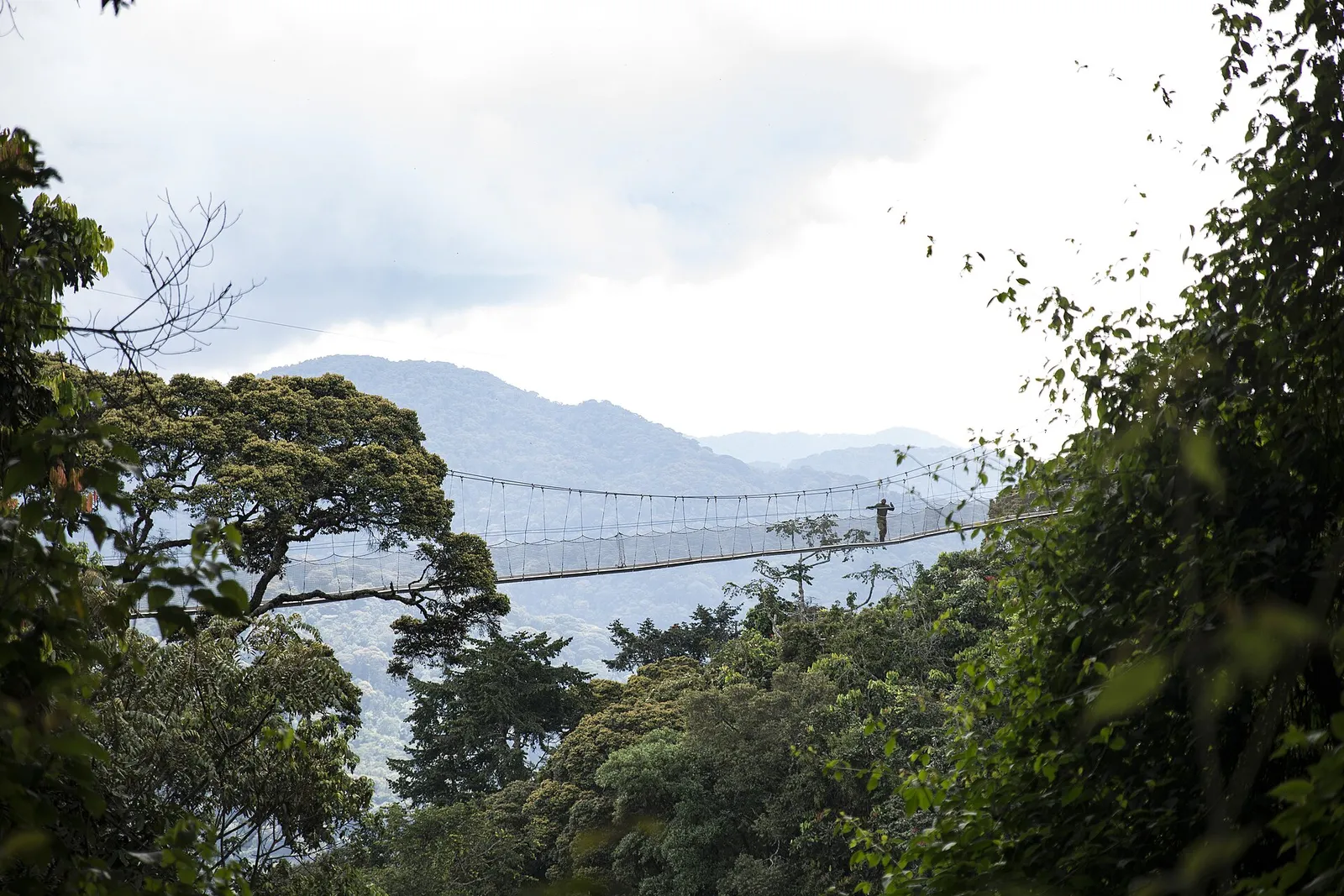 Rwanda: Rainforest, Lake Kivu & Kigali — 7 Days