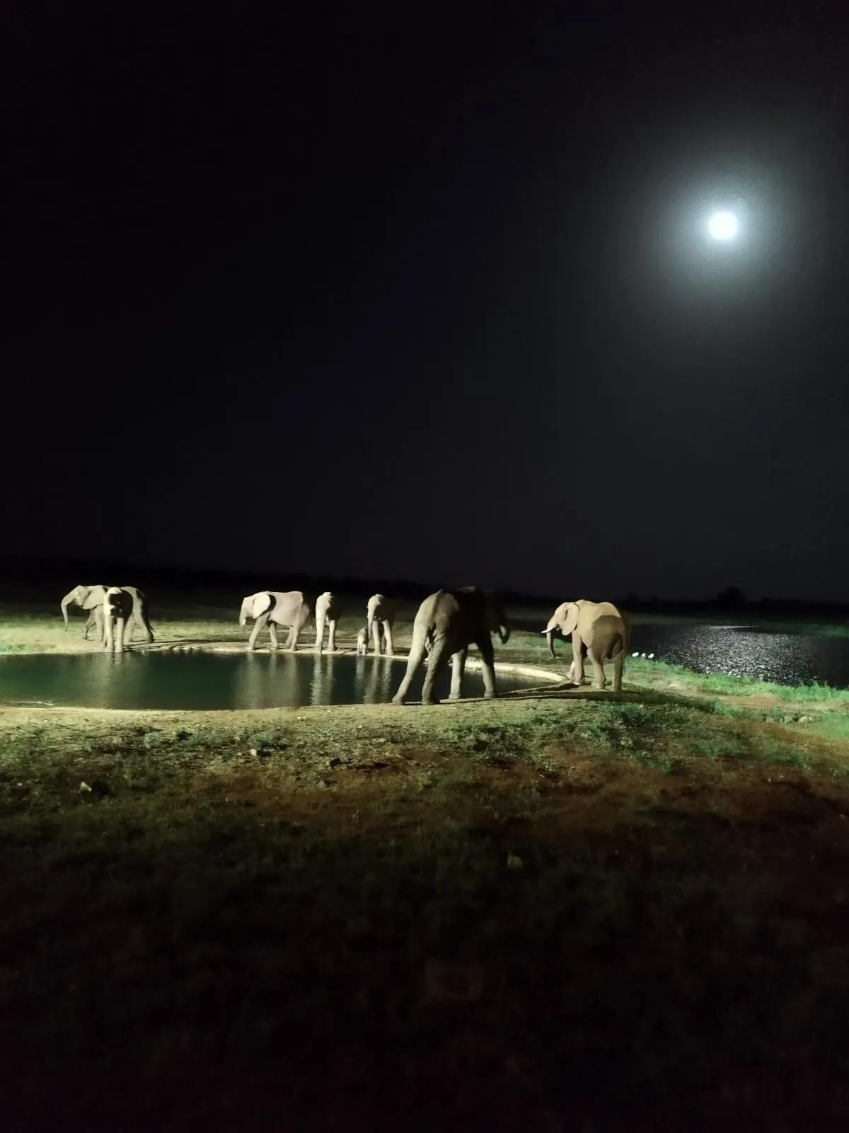 Tsavo East Safari Day from Diani
