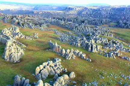 Eight Day Bale Mountains Wildlife Trek