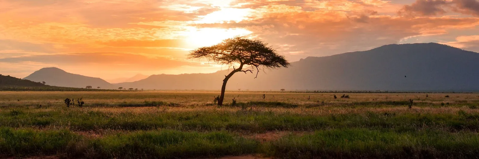 Seven Day Maasai Mara and Lalibela Journey