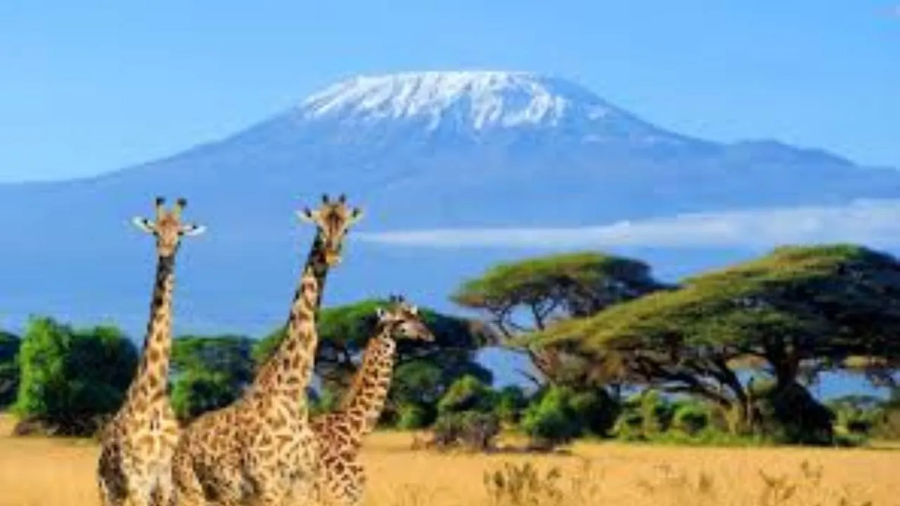 7 Days PRIVATE 4 STAR safari to Masai Mara, Lake Nakuru, Hell’s Gate Naivasha & Amboseli National parks Using a 4WD JEEP