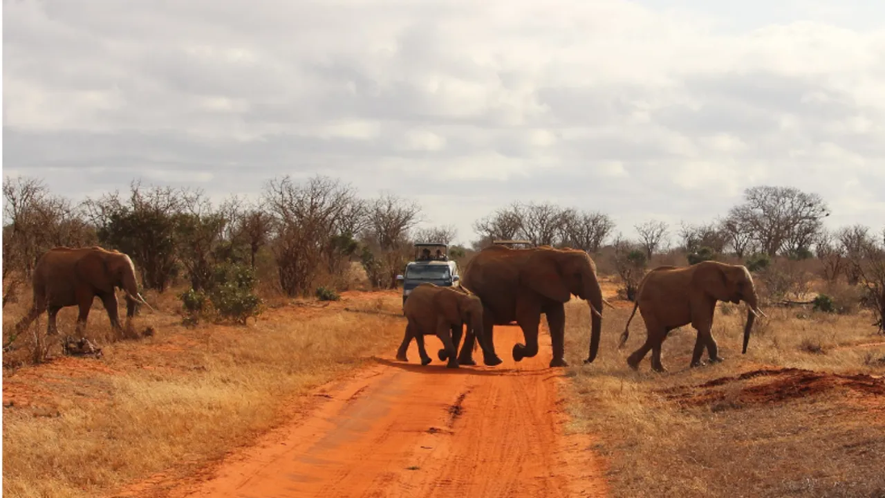 Overnight safari to Tsavo East from Mombasa, Diani or Nairobi