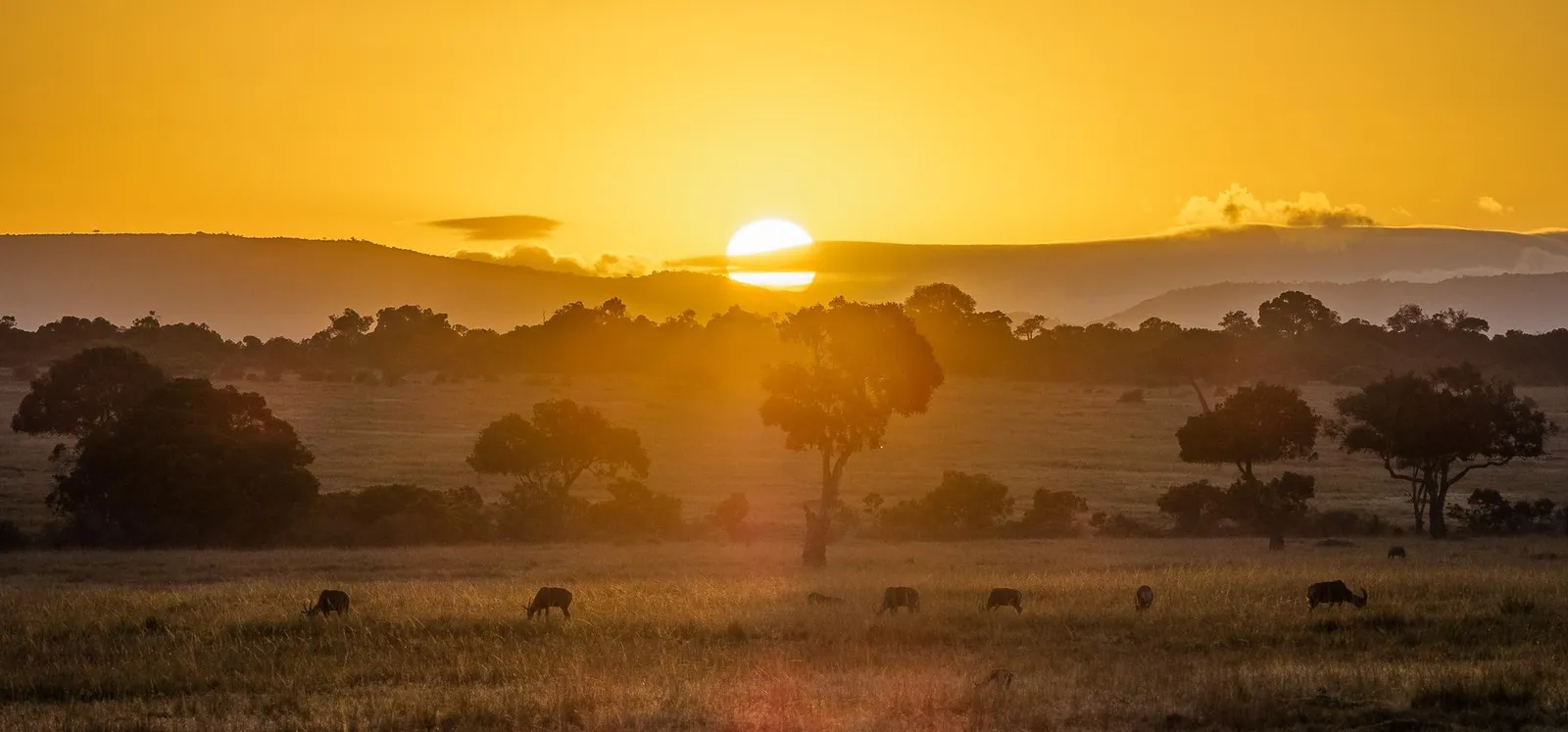 4-Day Maasai Mara & Lake Nakuru Group Safari by 4×4