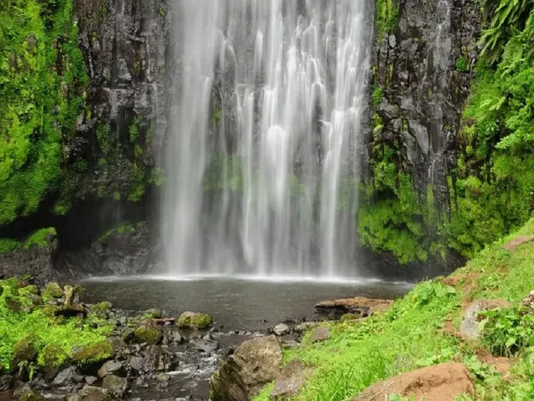 The best 1-day trip to Materuni waterfalls and Coffee tour