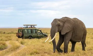 3 Days Amboseli Luxury Safari