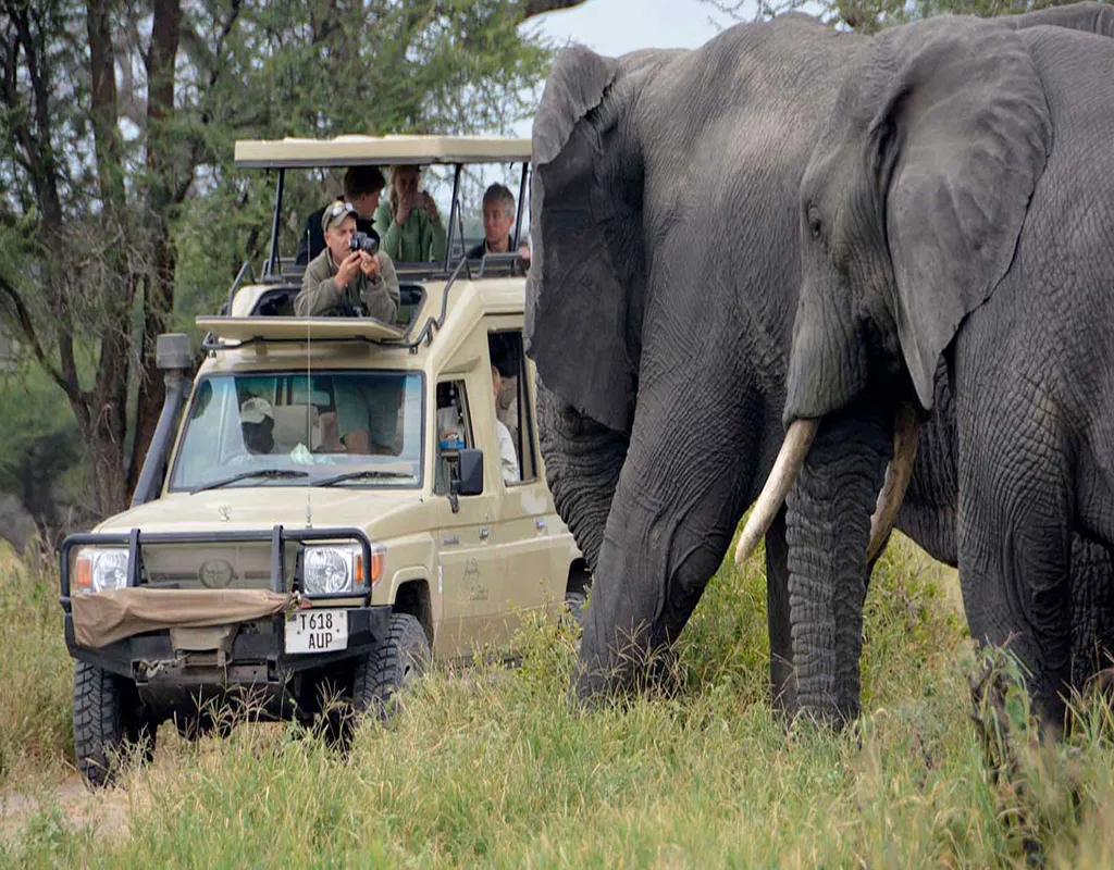 Five-Day Tarangire, Serengeti and Ngorongoro Safari