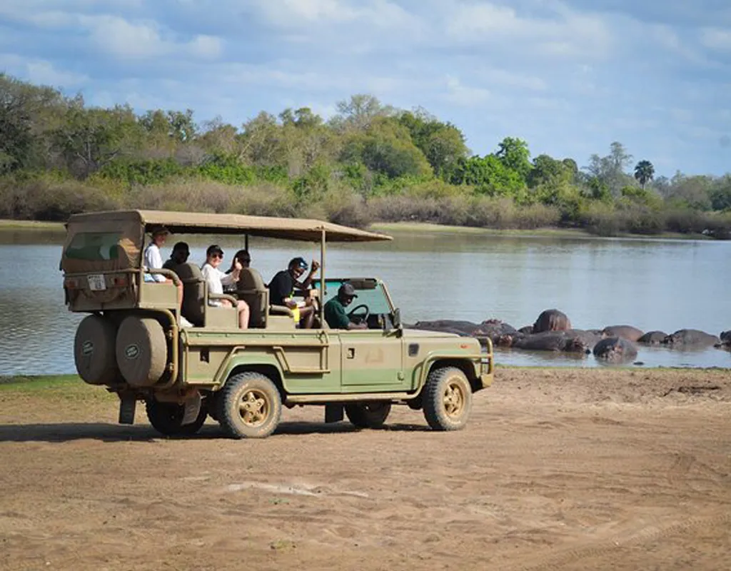 One-Day Nyerere National Park Safari from Zanzibar