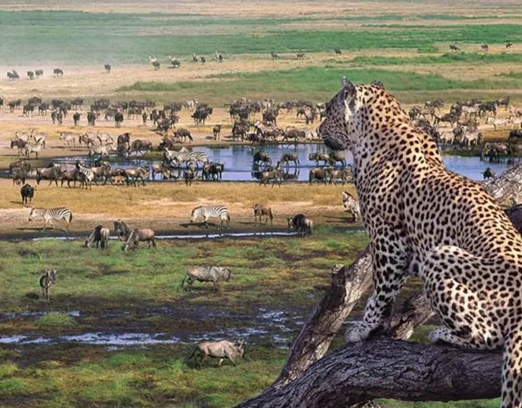 Four-Day Tarangire, Serengeti and Ngorongoro Safari