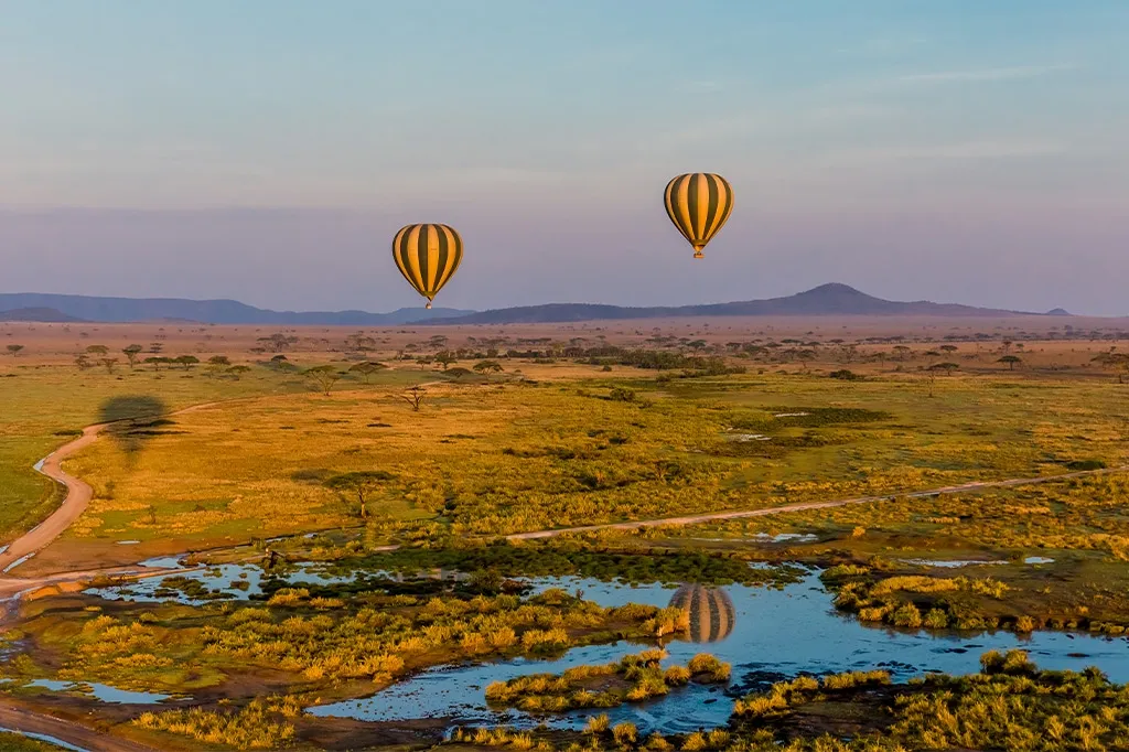 3 Day Fly-In Serengeti Safari from Zanzibar