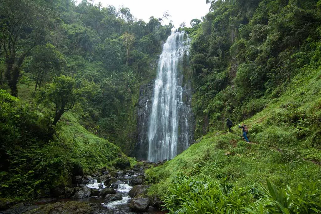 Maasai Village, Materuni Waterfalls & Coffee Tour