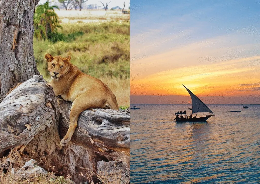 9-Day Serengeti Safari & Zanzibar Beach Escape