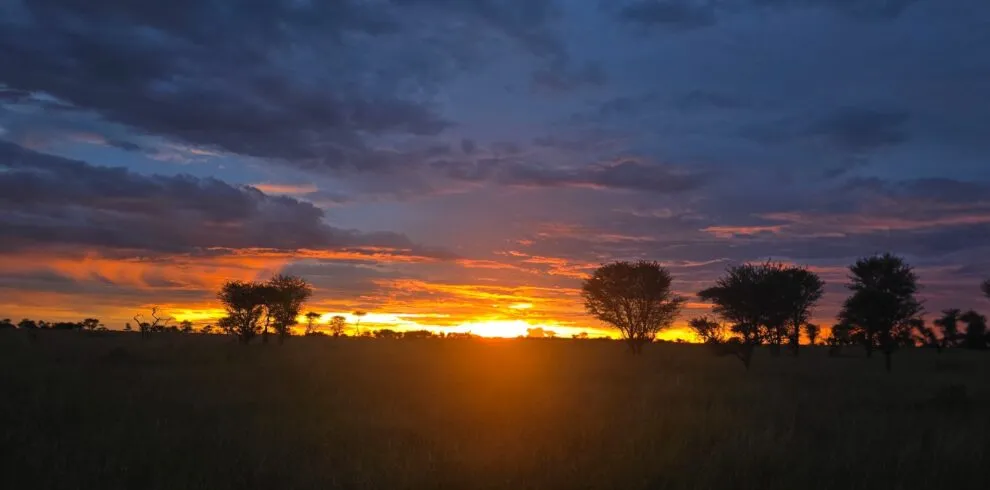 6-Day Private Tanzania Safari Tours | Luxury Honeymoon Safari
