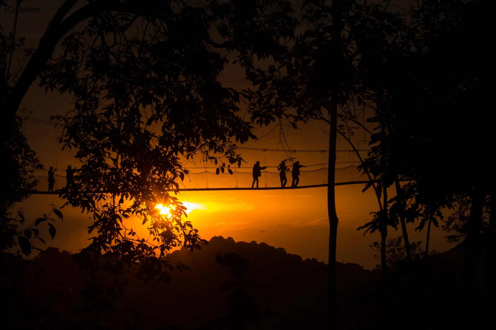 2 Days and 1 Night Nyungwe Tour