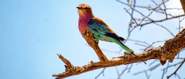 2-Day Tanzania Nature Tour with Materuni, Chemka and Mandara Hut