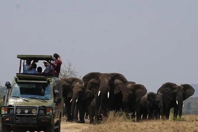 Private Full-Day Tour Akagera Game Drive